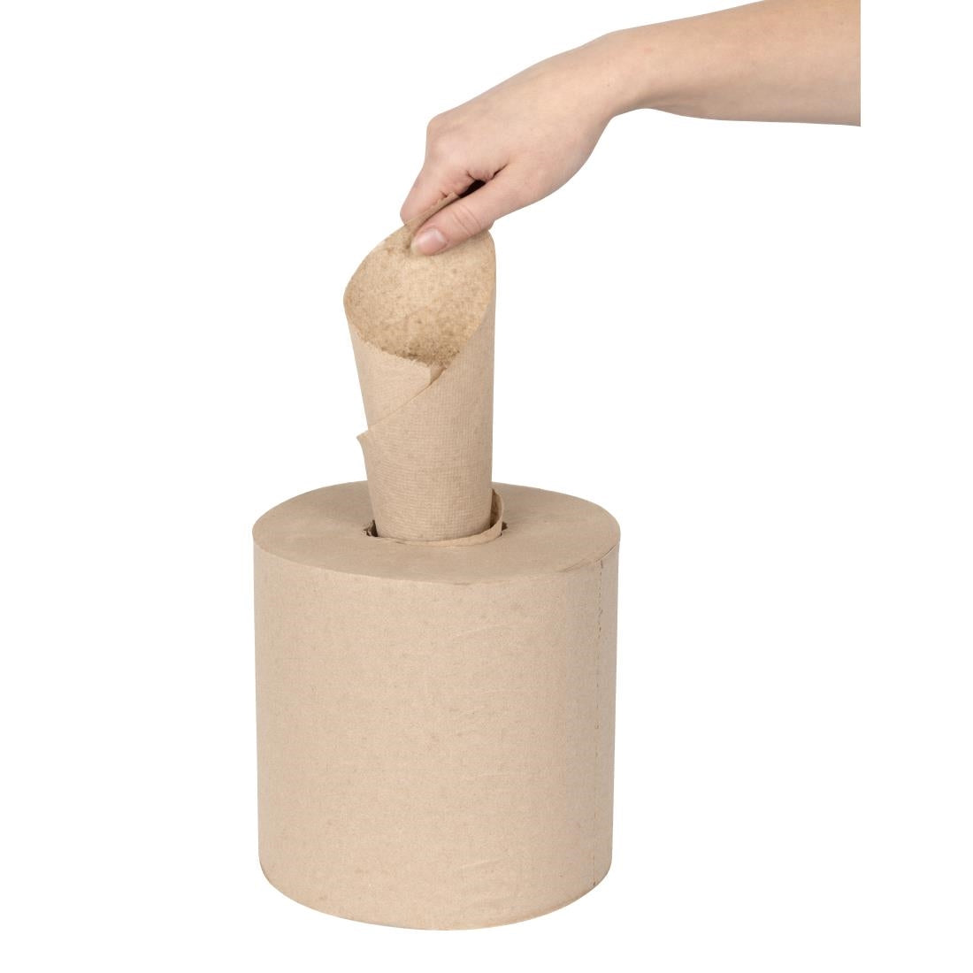 Jantex Green 100% Recycled Centre Feed Roll 2ply 120m (6 Pack) (480 Sheets Per Roll | 2ply Construction | Pack Quantity: 6) • PAS-HX940
