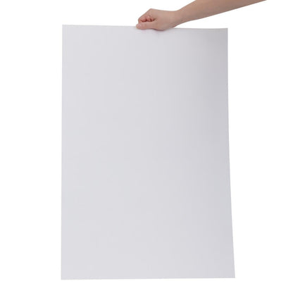 Fiesta Compostable Fish & Chip Paper White 500x750mm (200 Pack) (750(L)x500(W)mm) • PAS-HY779