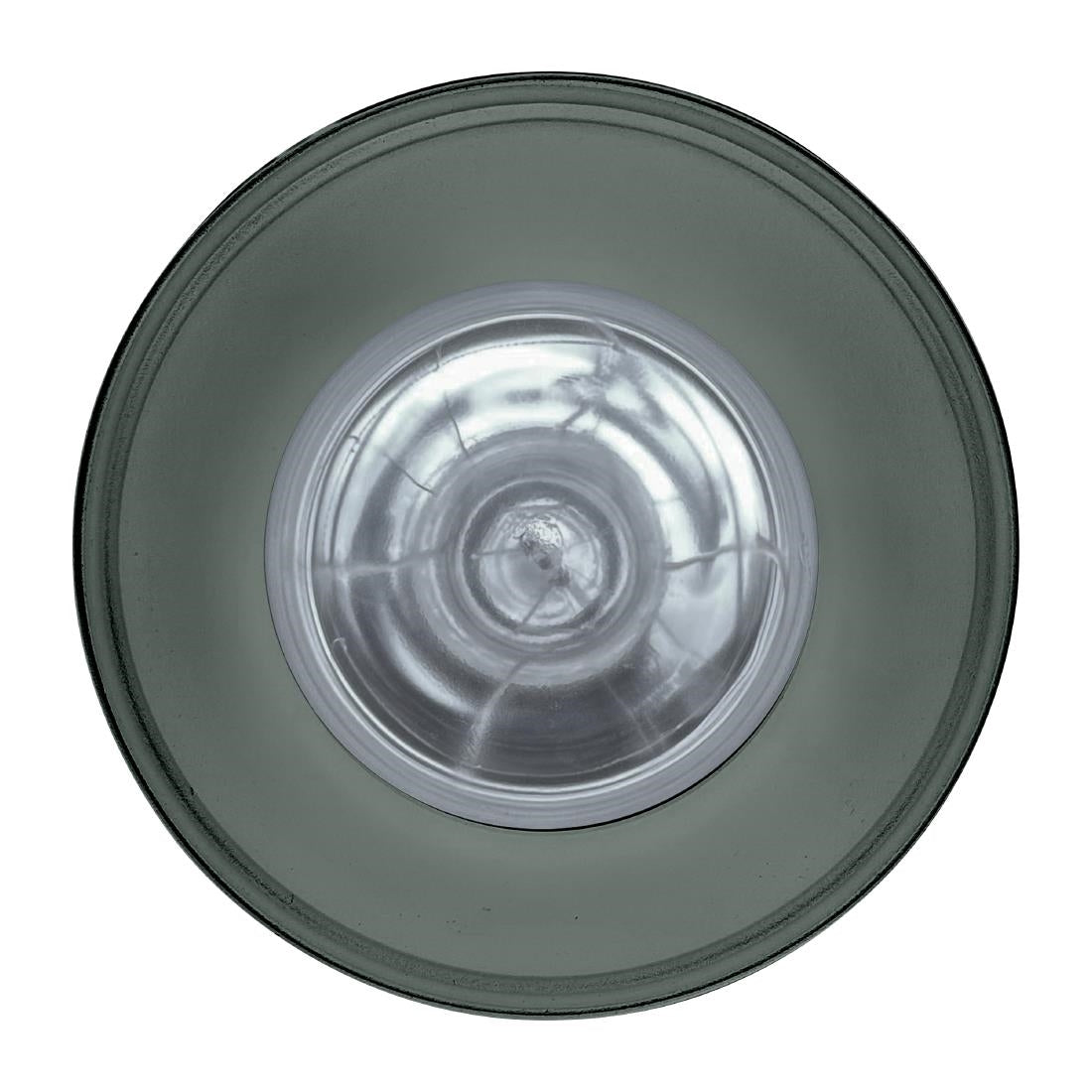 Roband Pendant Heat Lamp 200 series Sage • PAS-JC493