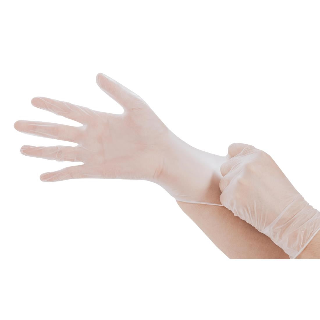 Bastion Progenics - Vinyl Powder Free Gloves - Clear - Pack 200 • PAS-P_JD731