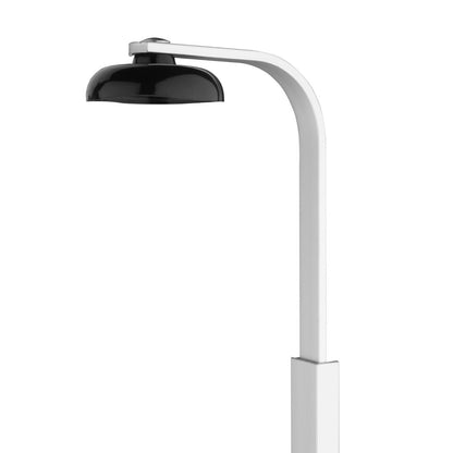 Olympia Single Bottle Bar Optic Holder Wall Mount • PAS-W623