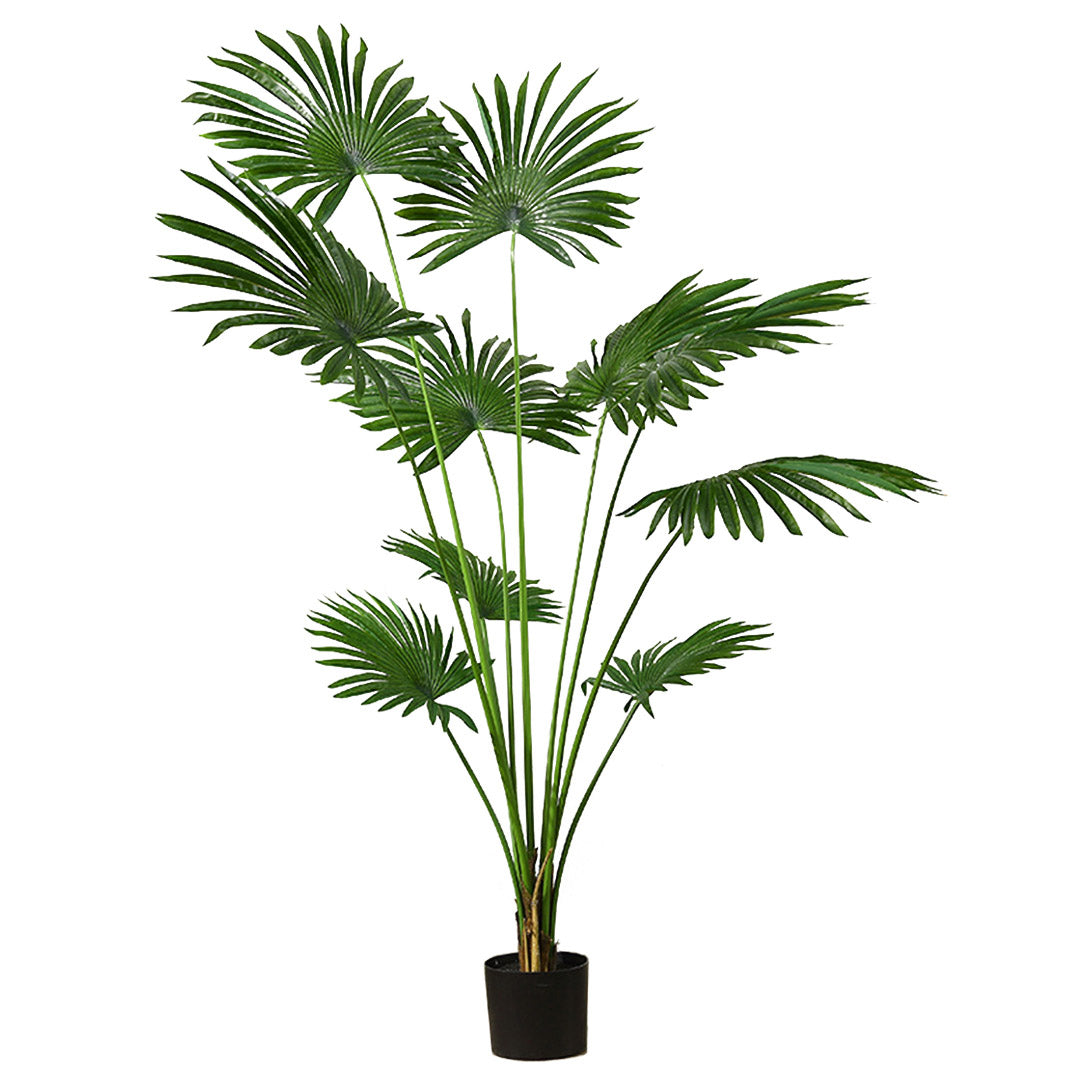 SOGA 180cm Artificial Natural Green Fan Palm Tree Fake Tropical Indoor Plant Home Office Decor LUZ-APlantSKS18010