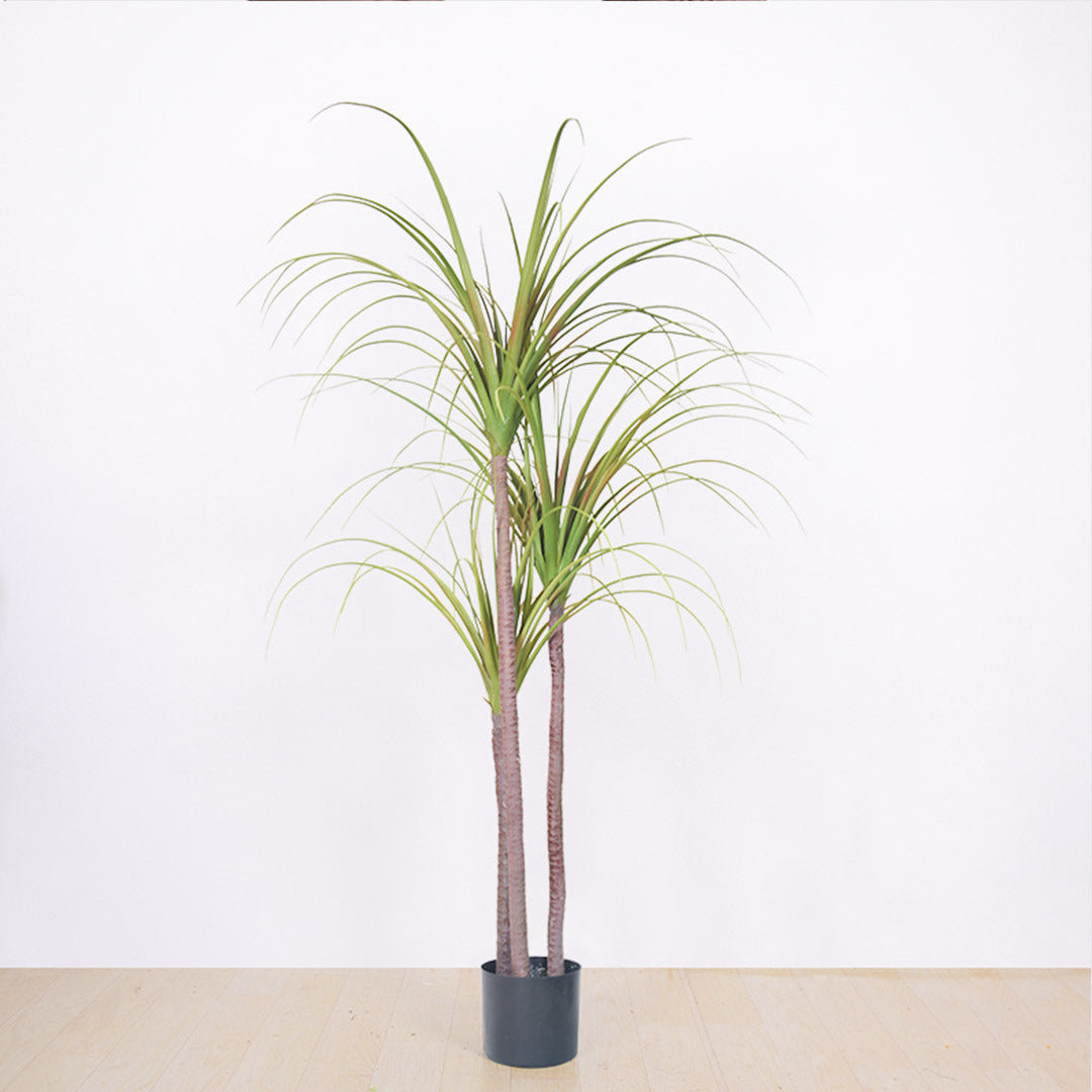SOGA 2X 145cm Green Artificial Indoor Dragon Blood Tree Fake Plant Decorative LUZ-APlantFHL15584X2
