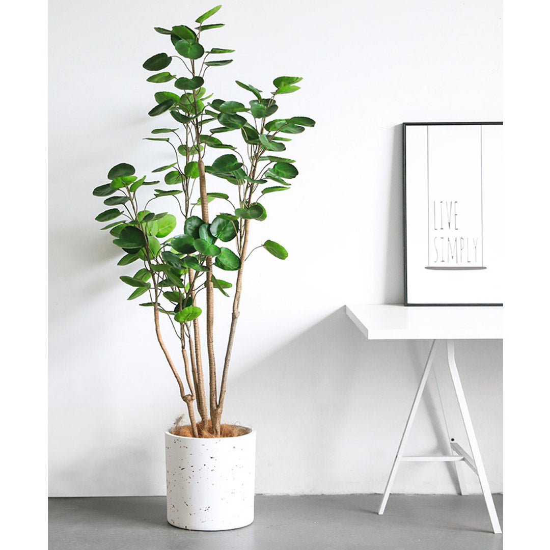 SOGA 2X 180cm Green Artificial Indoor Pocket Money Tree Fake Plant Simulation Decorative LUZ-APlantFHJQD18080X2