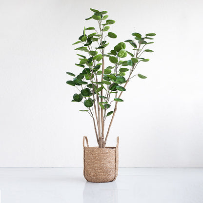 SOGA 4X 180cm Green Artificial Indoor Pocket Money Tree Fake Plant Simulation Decorative LUZ-APlantFHJQD18080X4