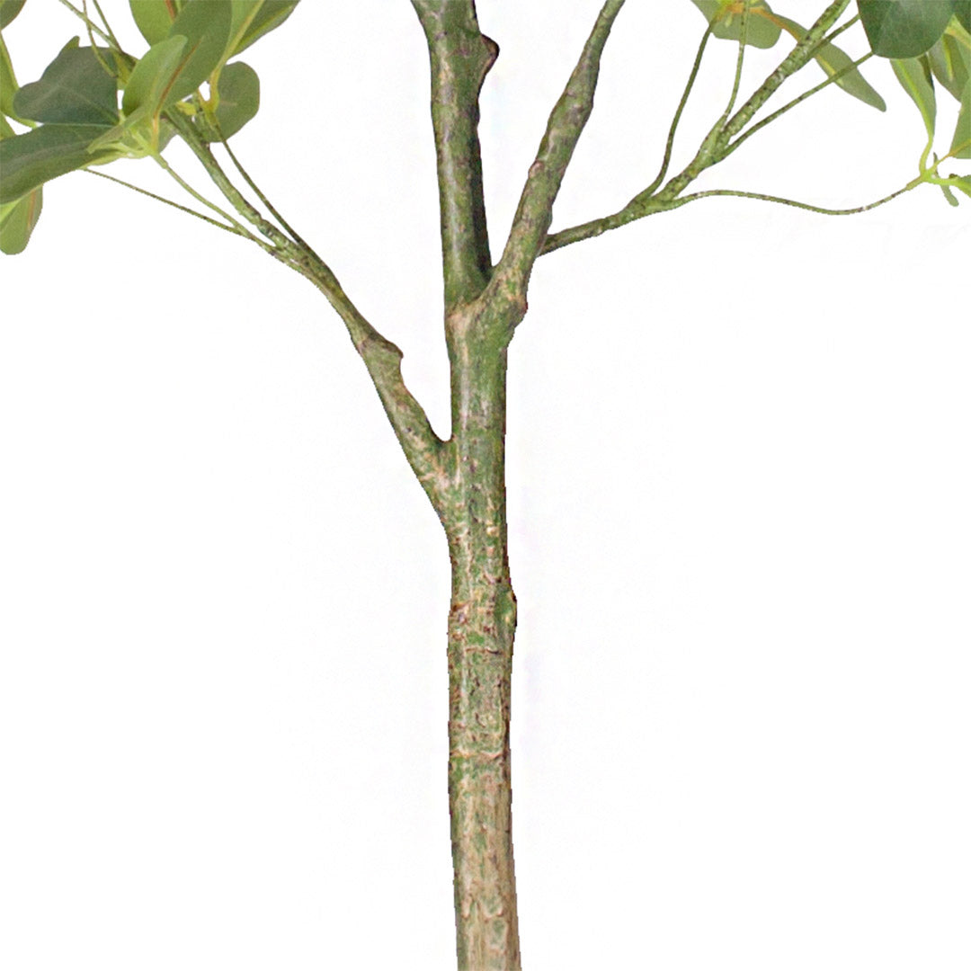 SOGA 4X 160cm Artificial Natural Green Schefflera Dwarf Umbrella Tree Fake Tropical Indoor Plant Home Office Decor LUZ-APlantQXY160X4